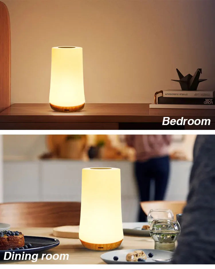 LED Night Light 13 Color Changing RGB Table Lamp Remote Control Touch Rechargeable RGB Night Lamp Dimmable Bedside Light